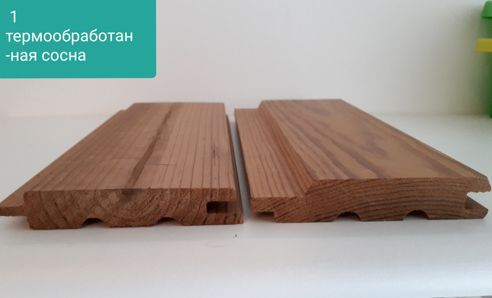 Диана Бастамова