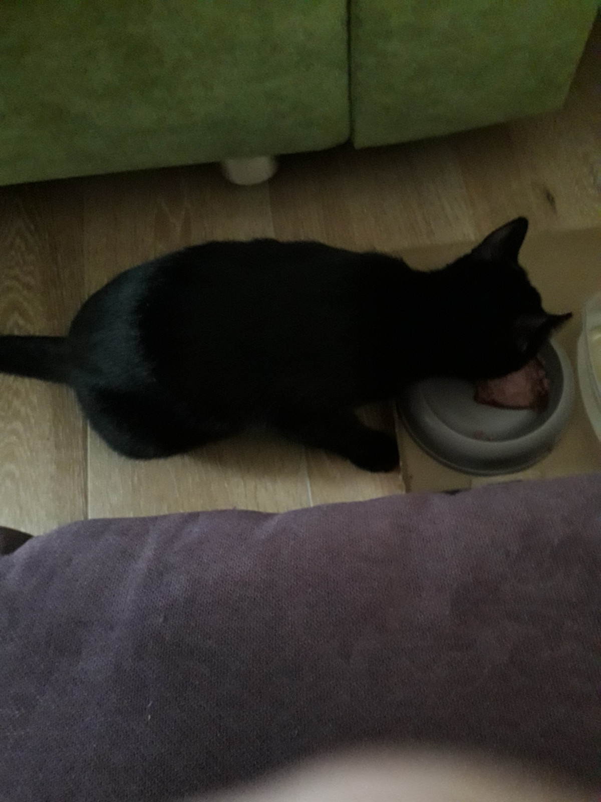 Артём Подкопаев