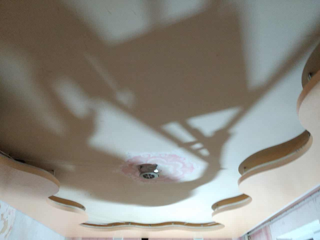 Unnamed Photo