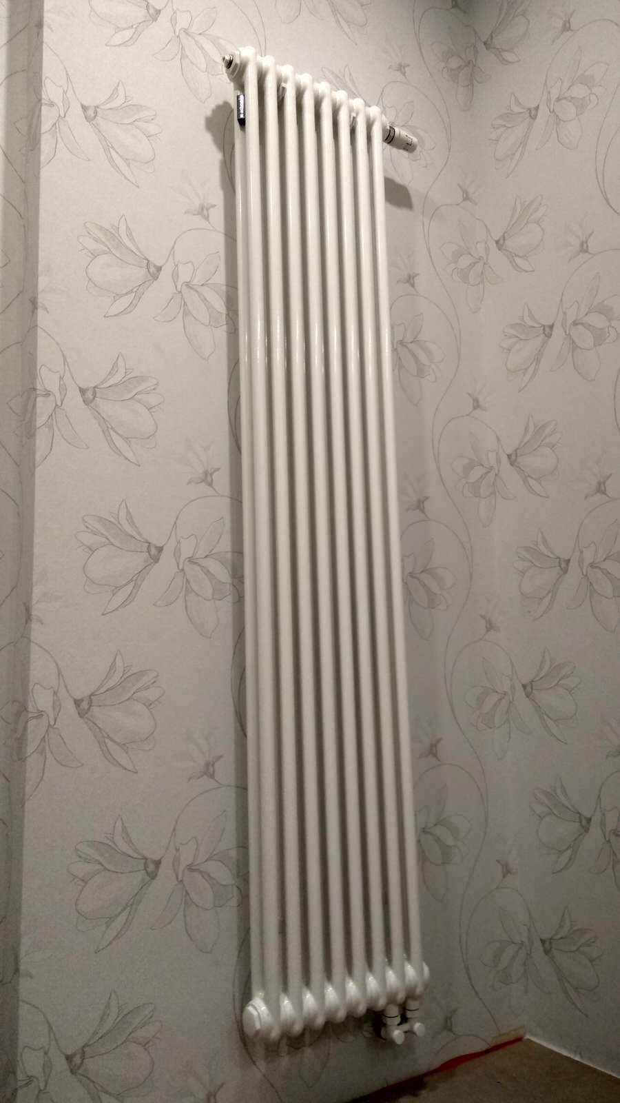 IMG_20181221_200108.jpeg