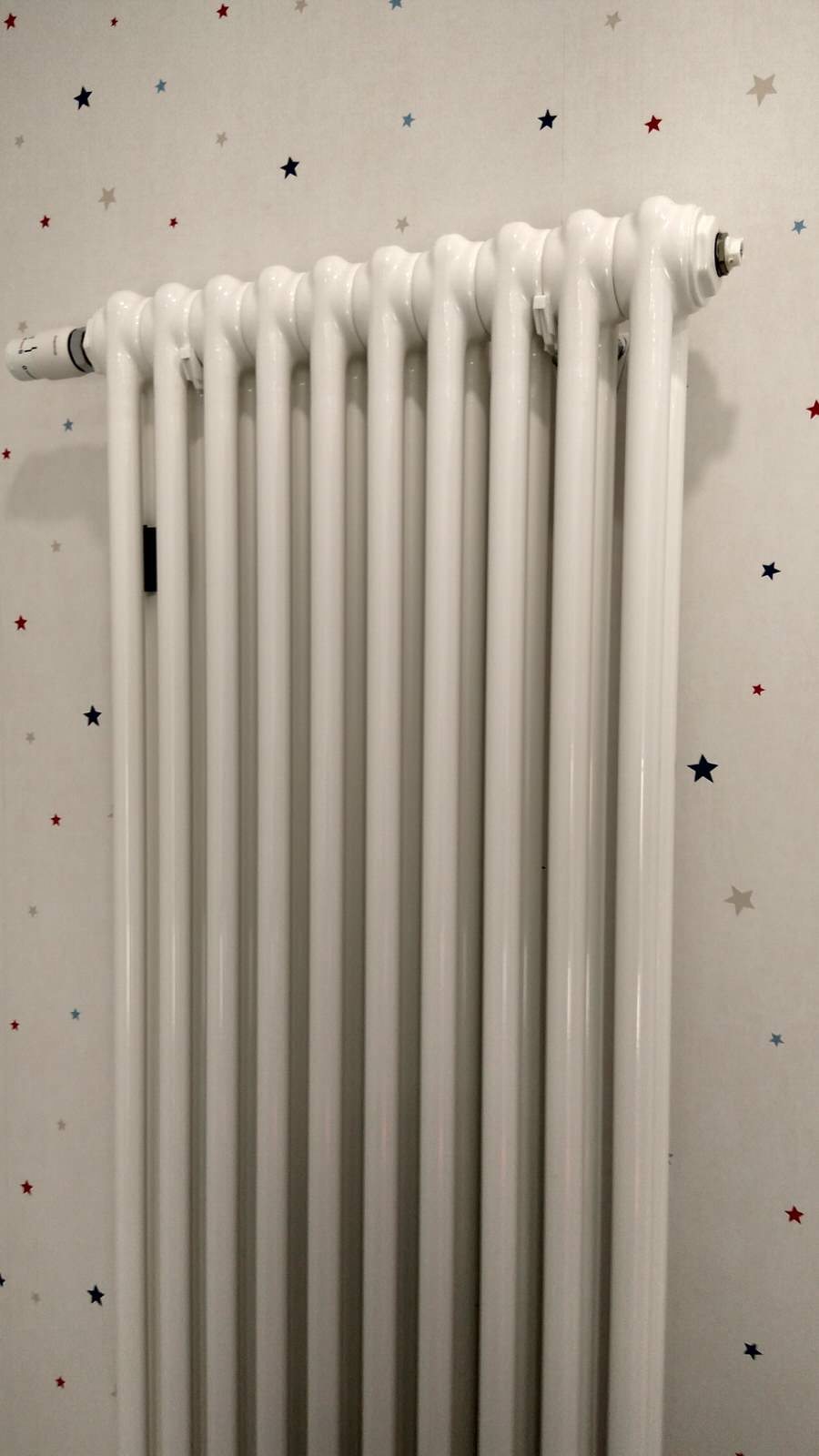 IMG_20190122_111845.jpeg
