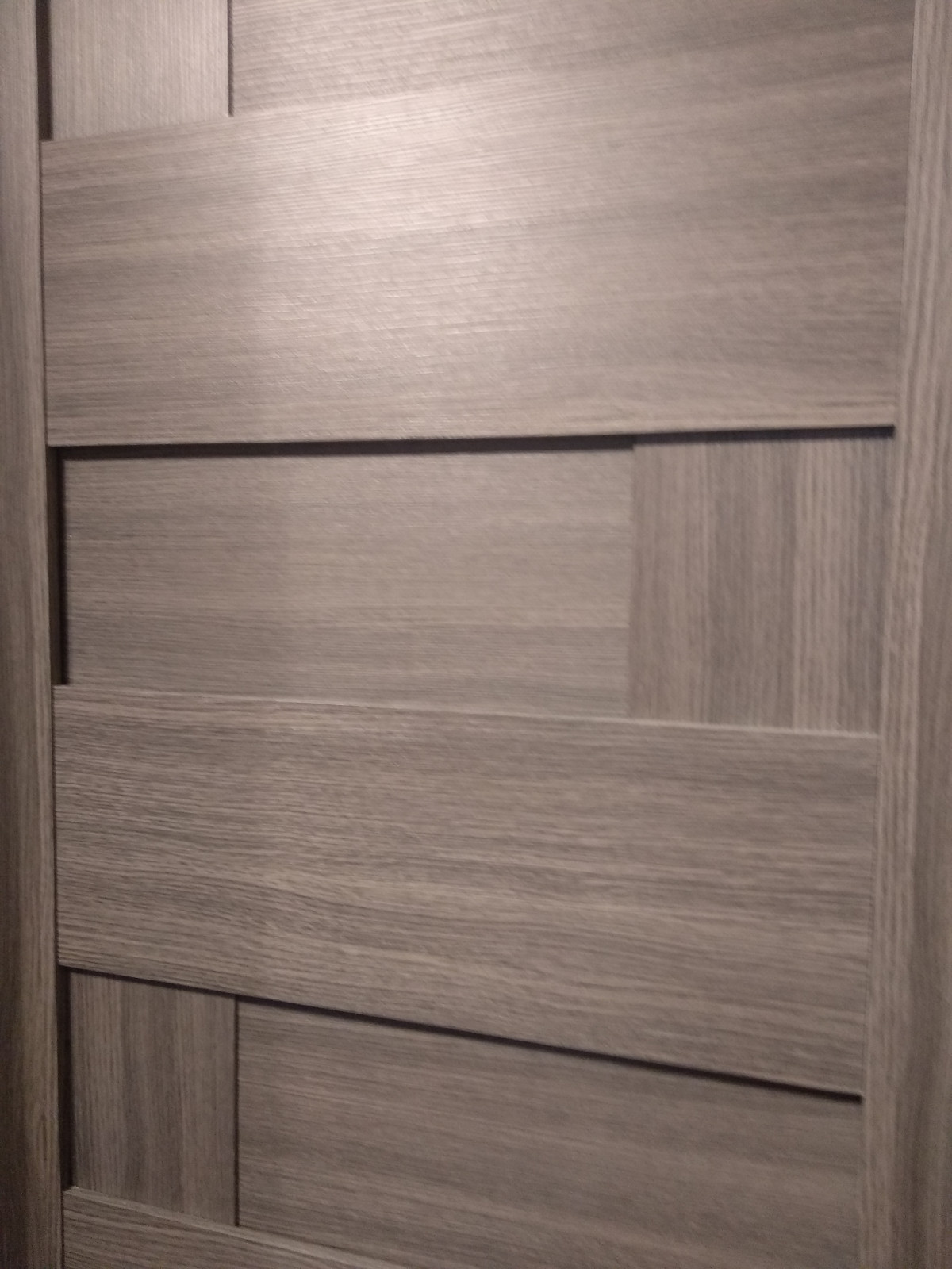 Interior door "DOMINO'', gray, with. glasses, 30"x 80"