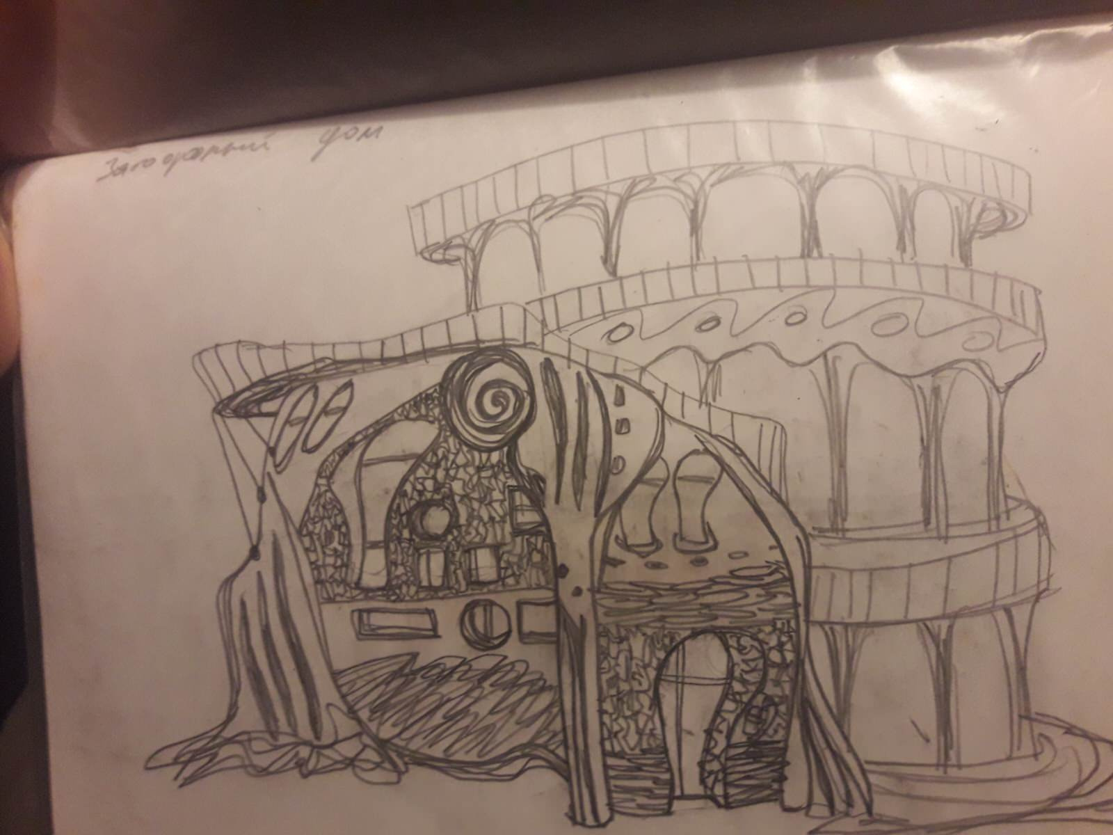 Unnamed Photo