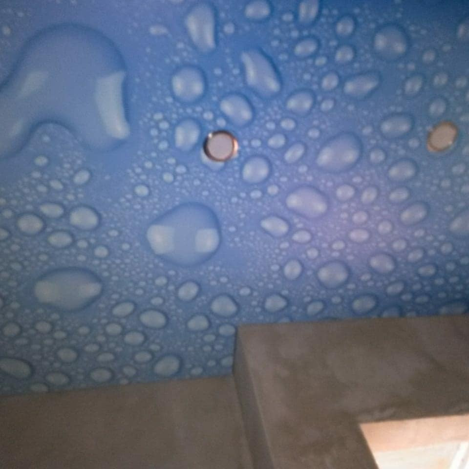 Unnamed Photo