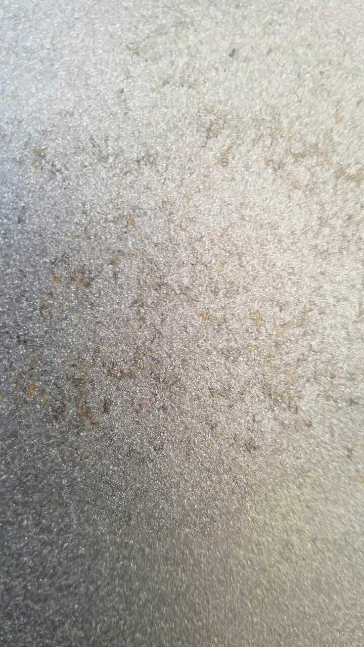 Unnamed Photo