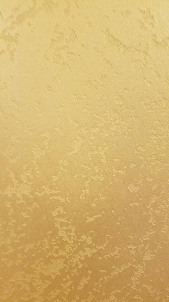 Unnamed Photo