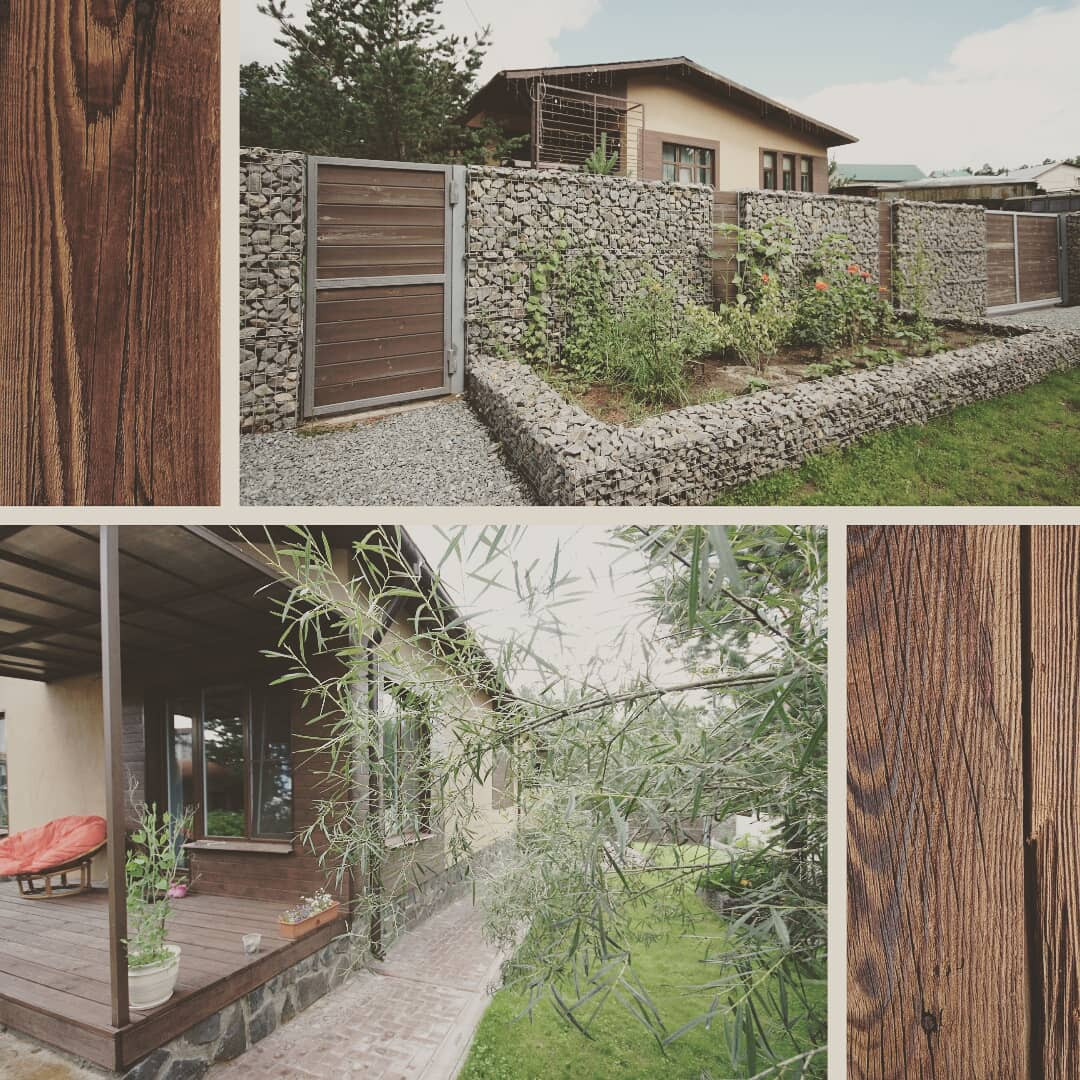 Елена Шевчук