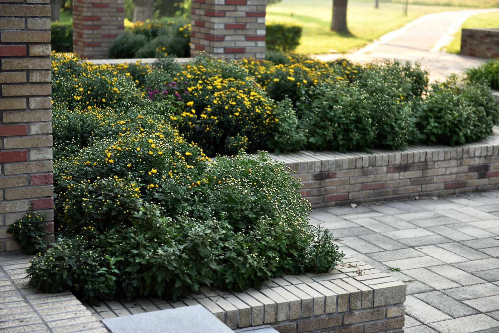 Евгений Джелемей