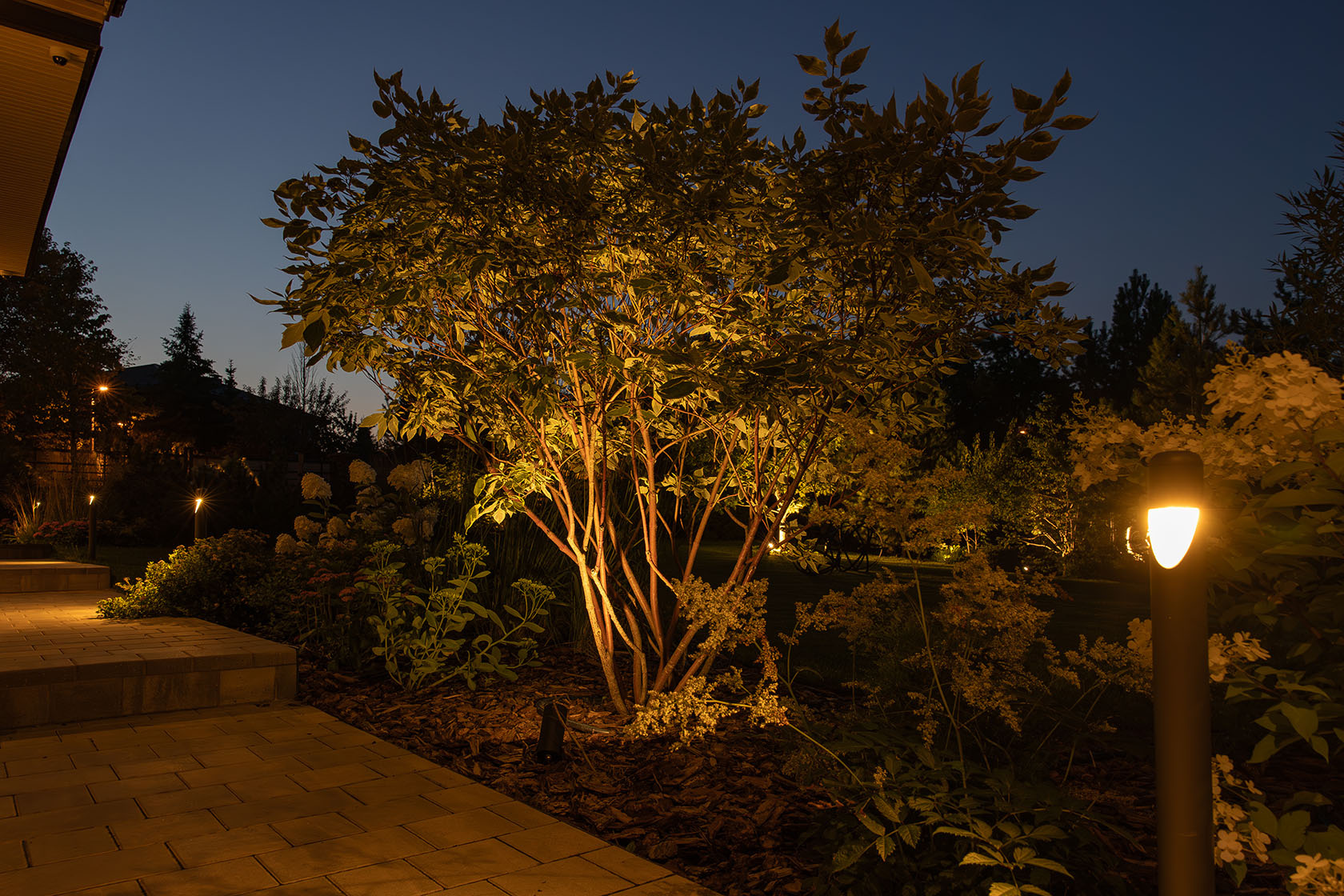 Обложка проекта: Крекшино