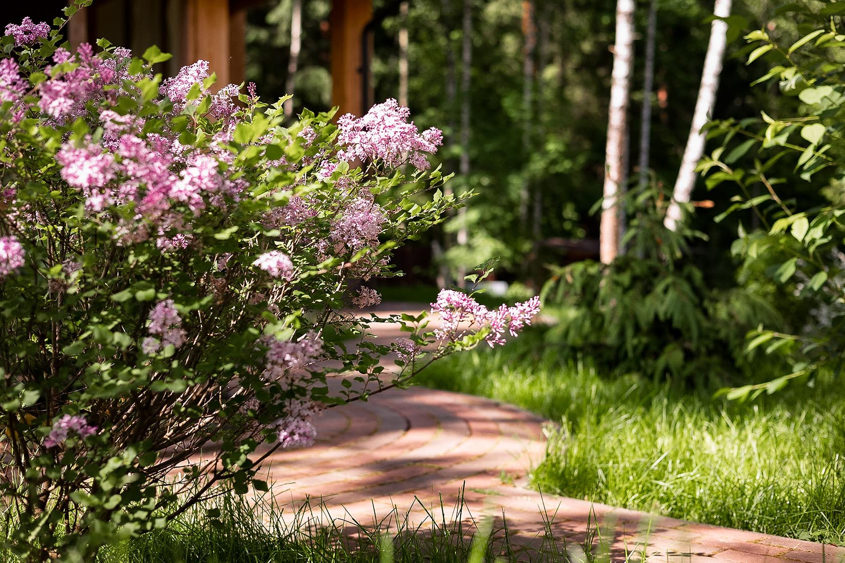 Обложка проекта: Лесной пейзаж