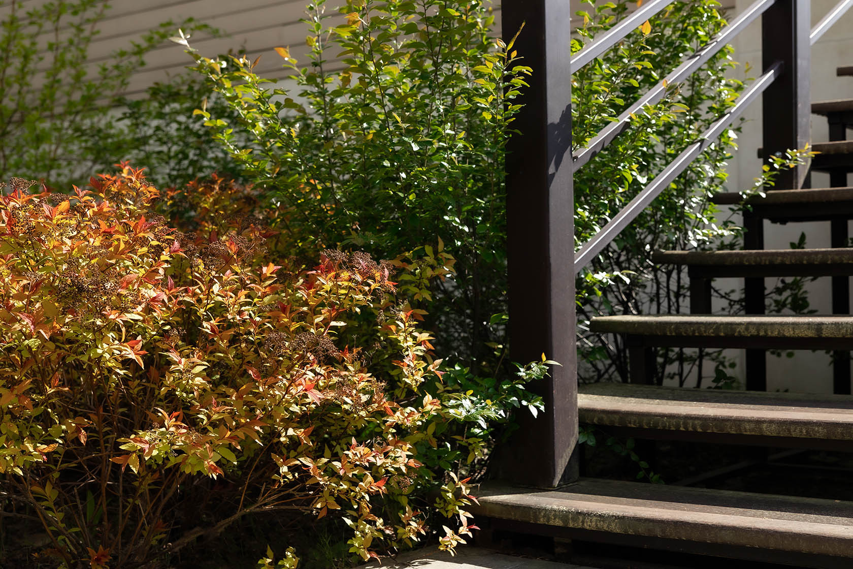 Сад Геометрия