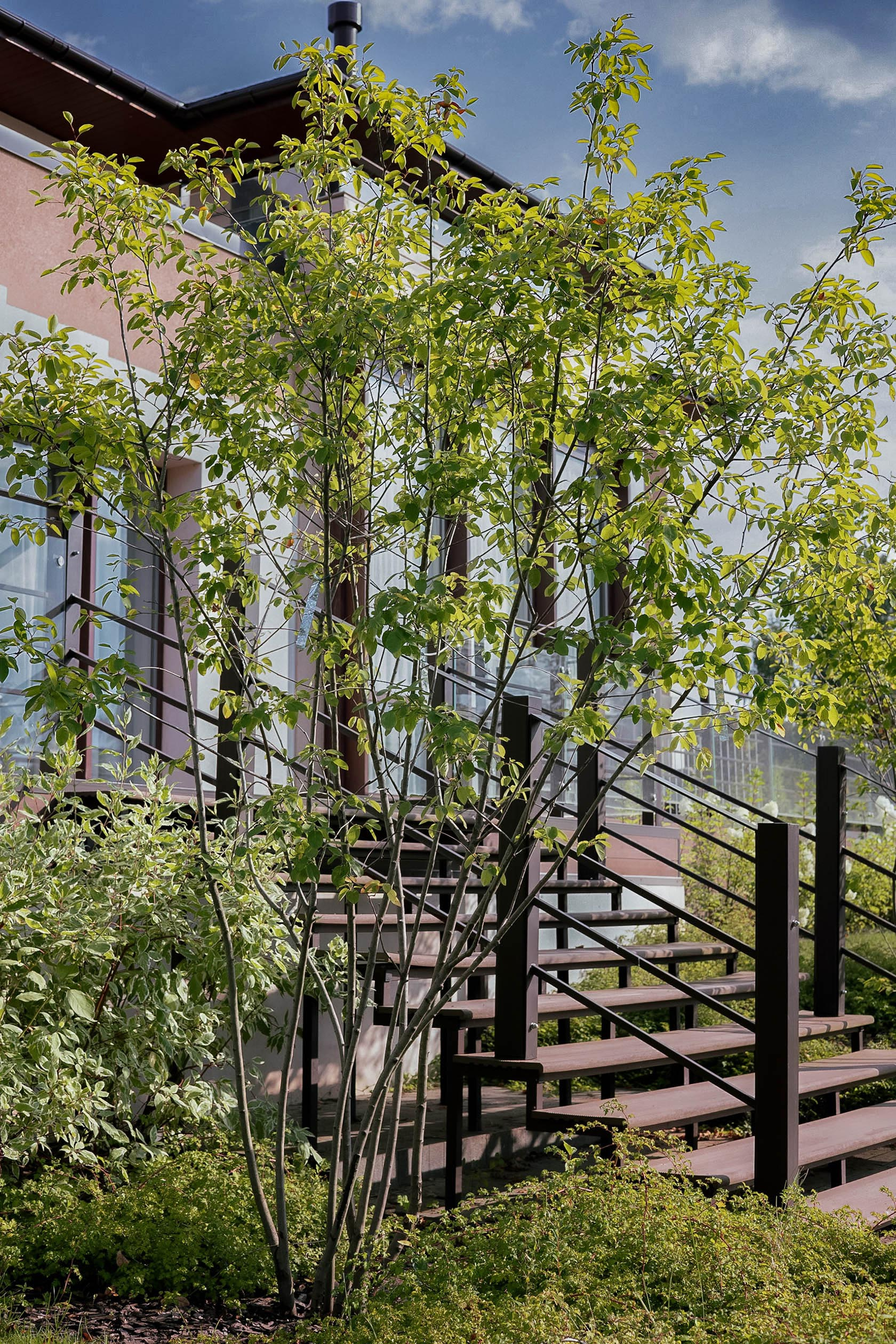 Сад Геометрия