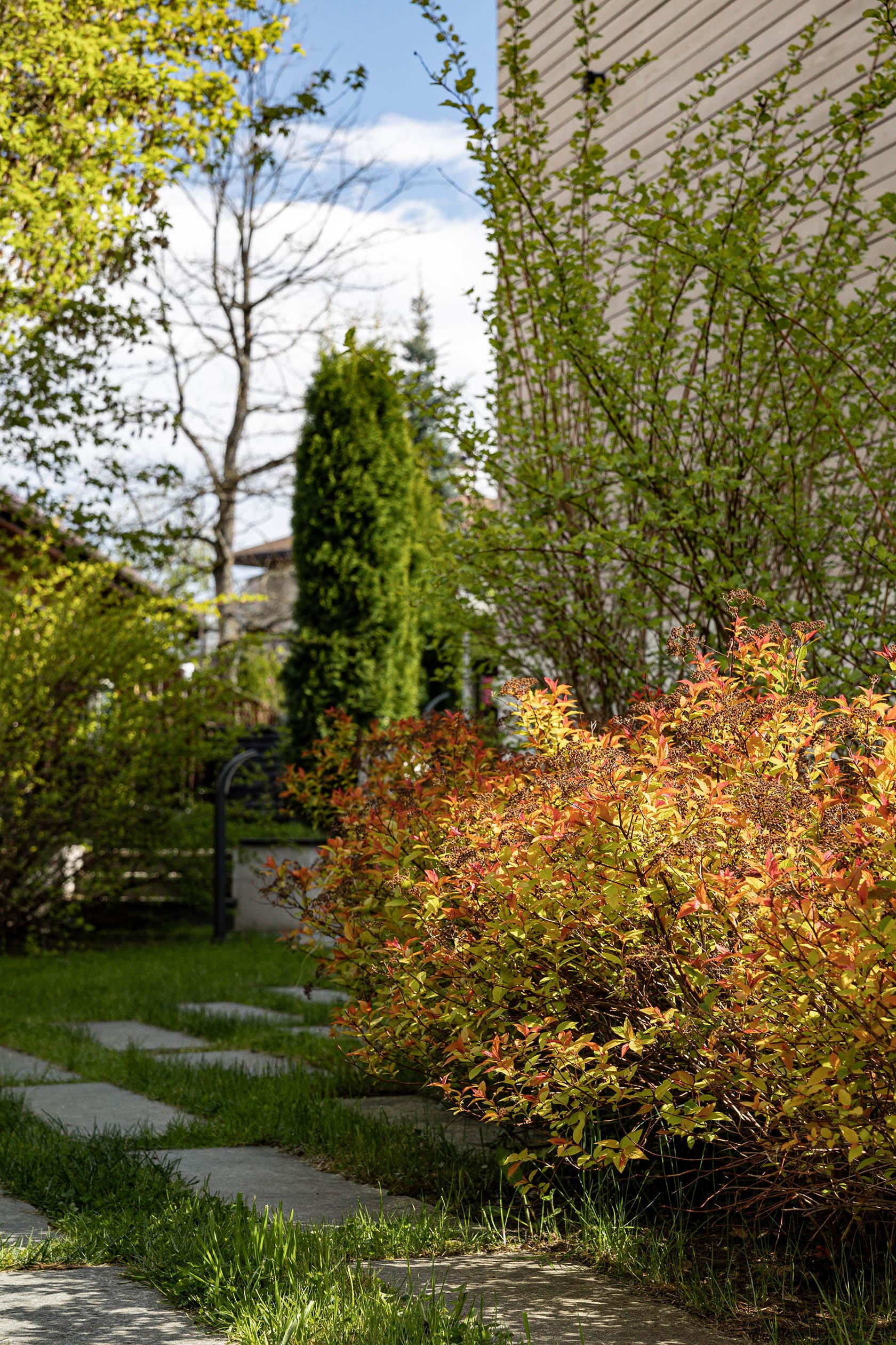 Сад Геометрия