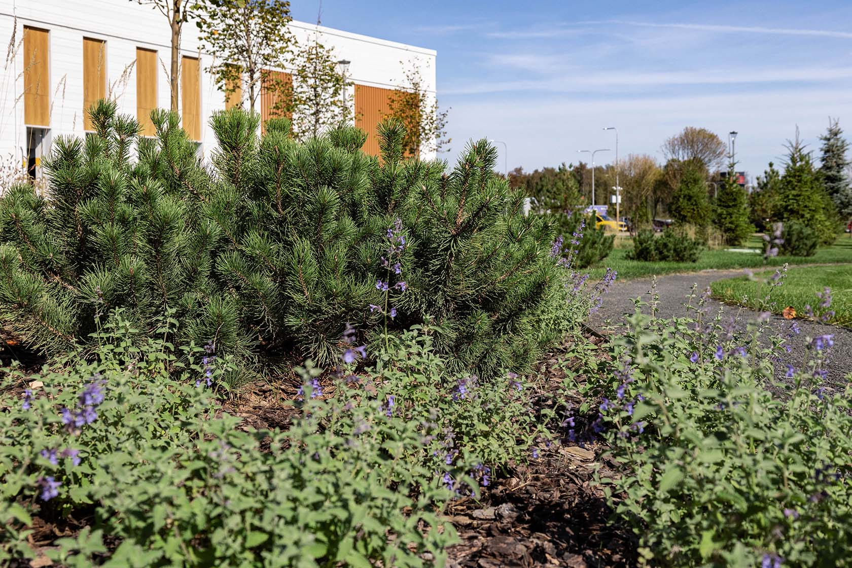 ПСБ Патриот