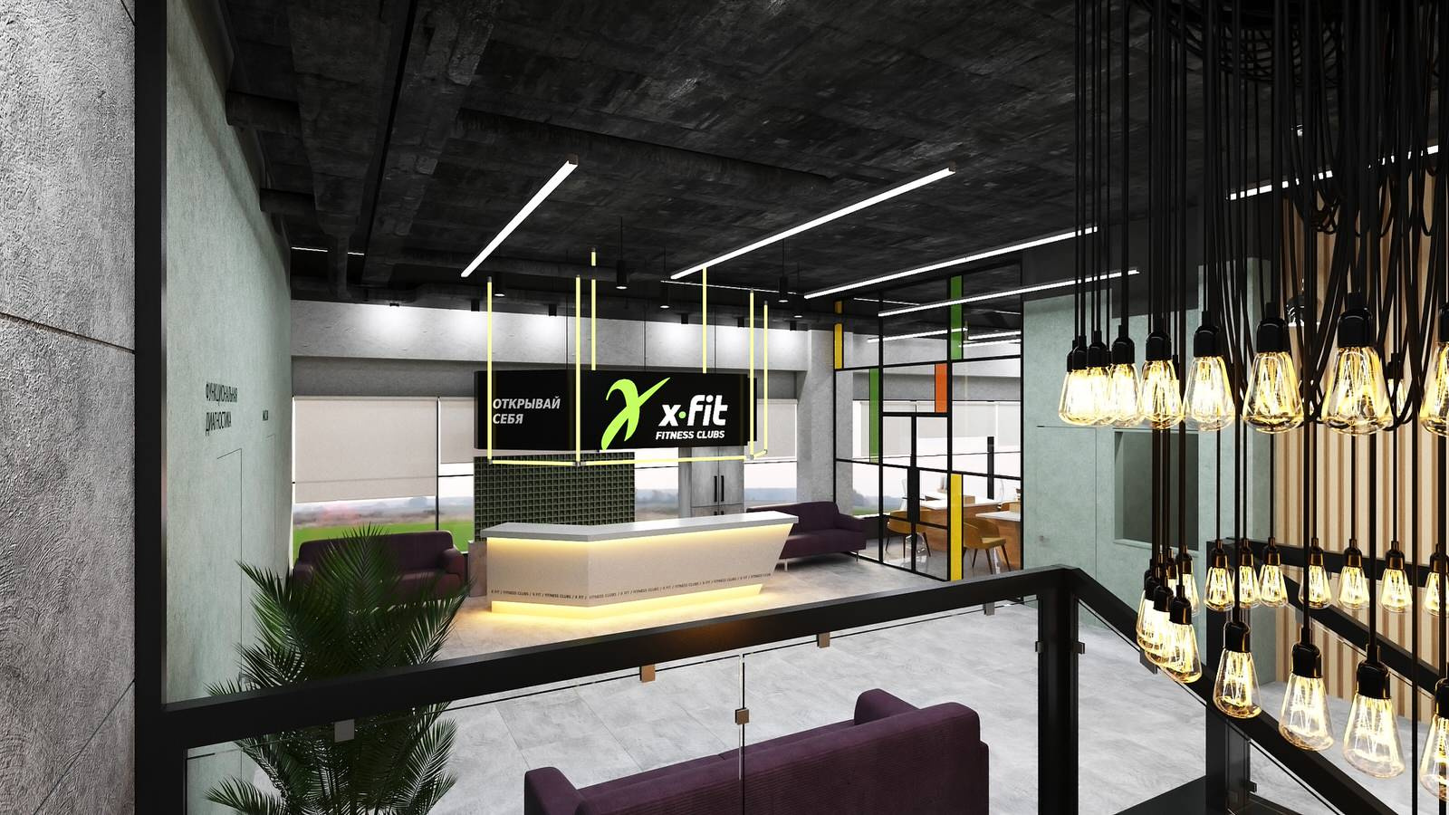 X-Fit