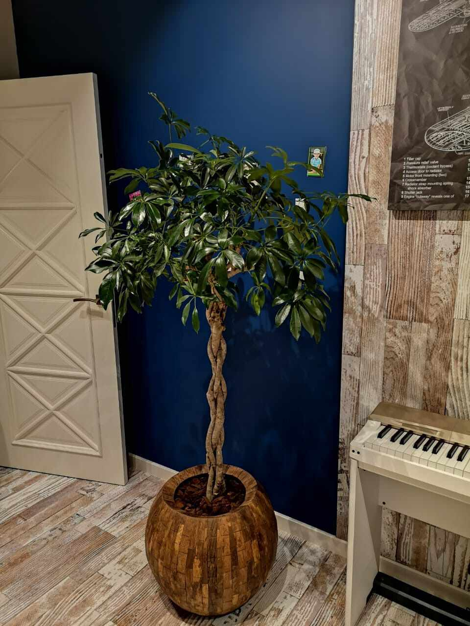 IMG_0155.JPG