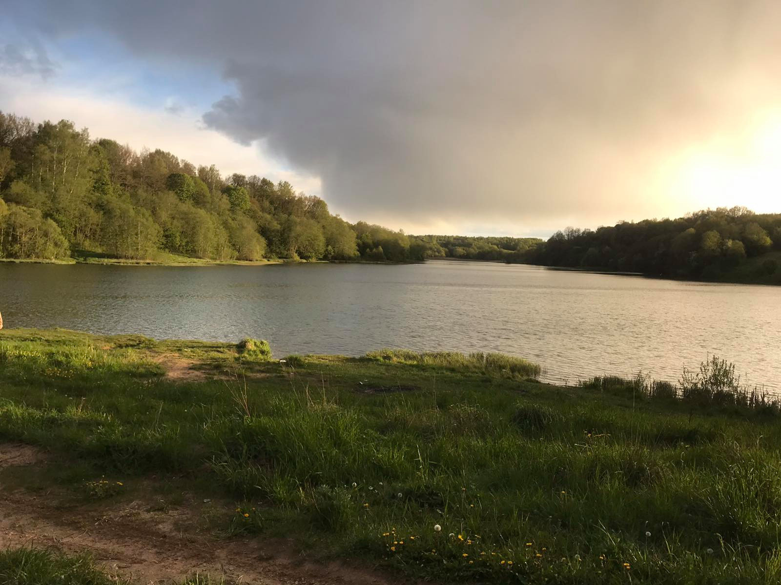 Эльза Новикян