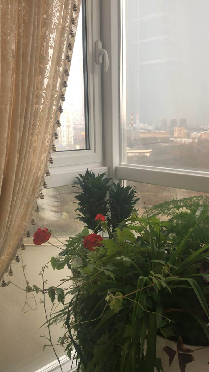 Фоновое изображение профиля Хан Хам