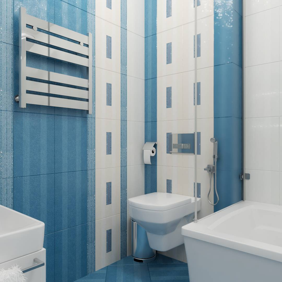 Сине-белый санузел