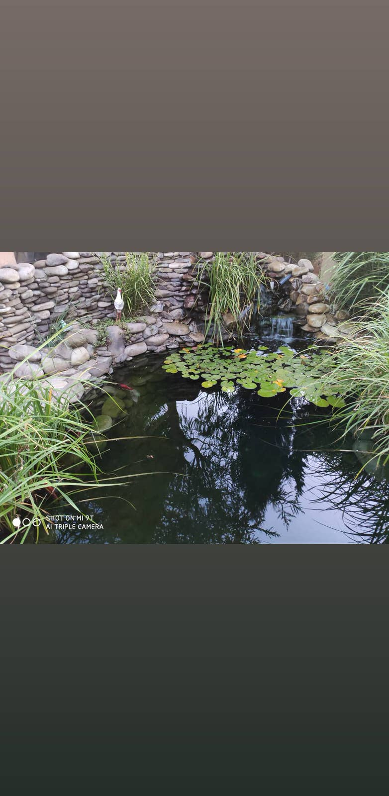 Николай Читак