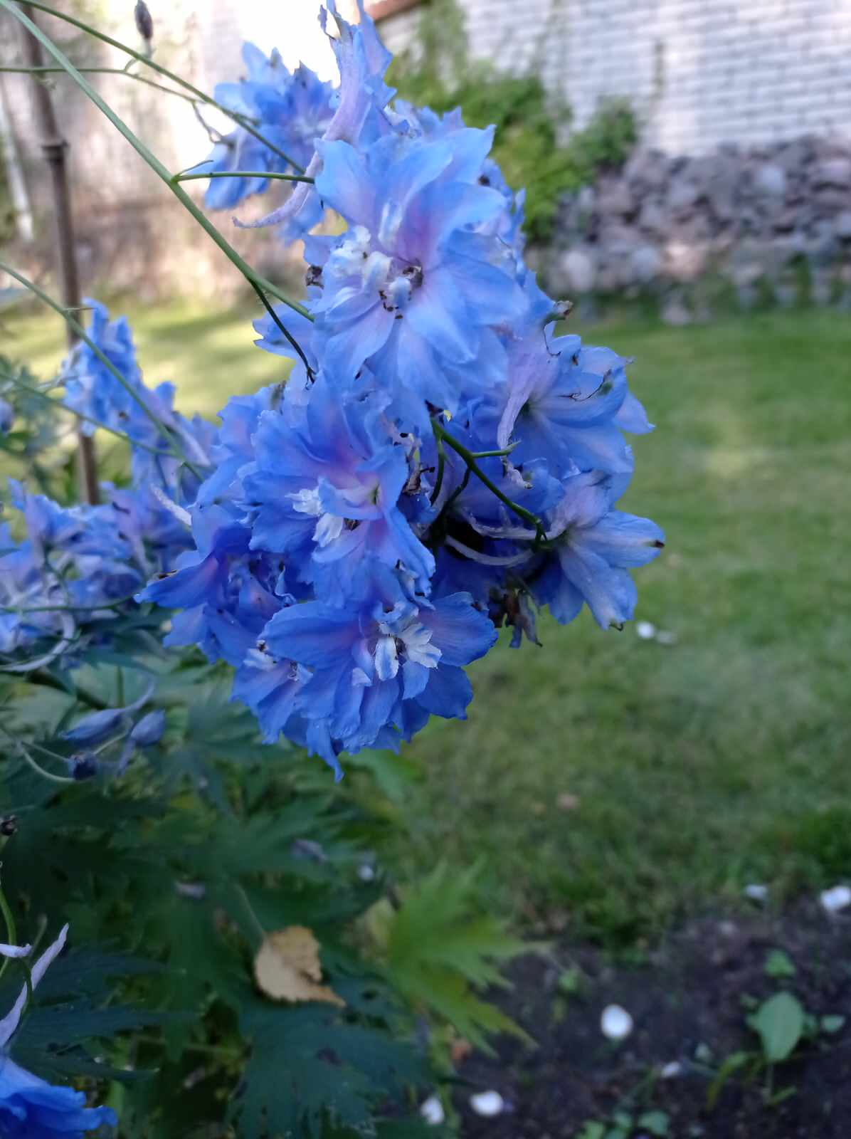 Unnamed Photo