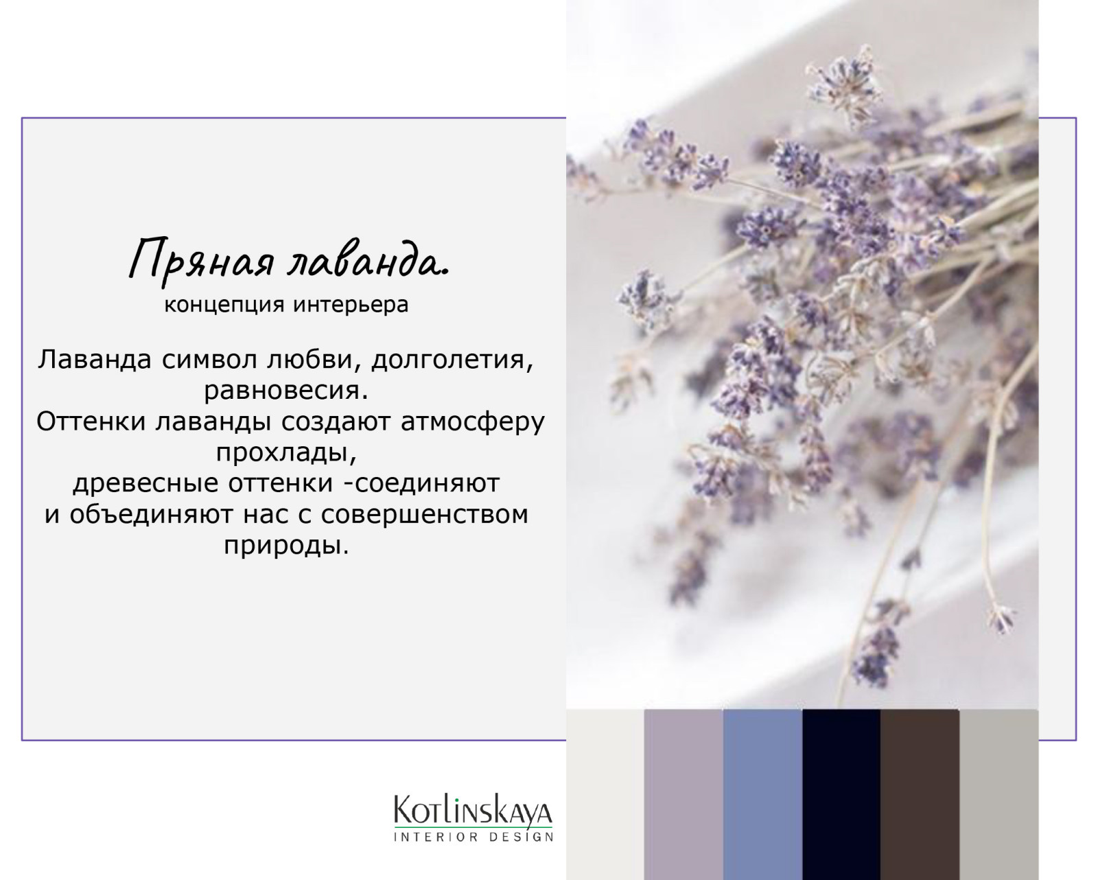 Обложка проекта: Концепция Пряная лаванда