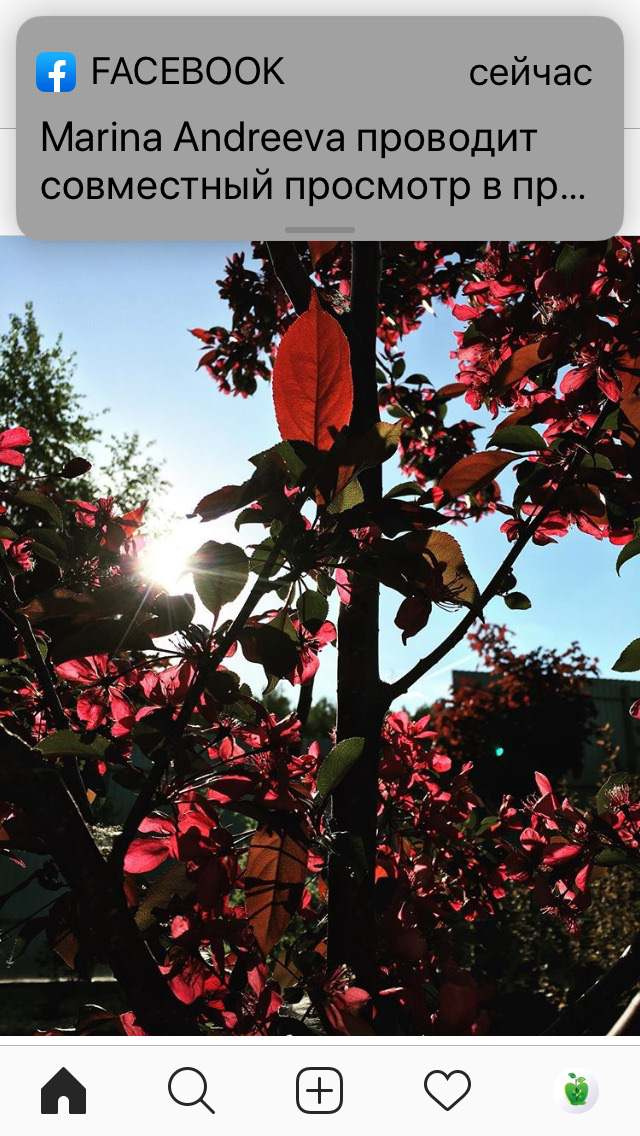 Unnamed Photo