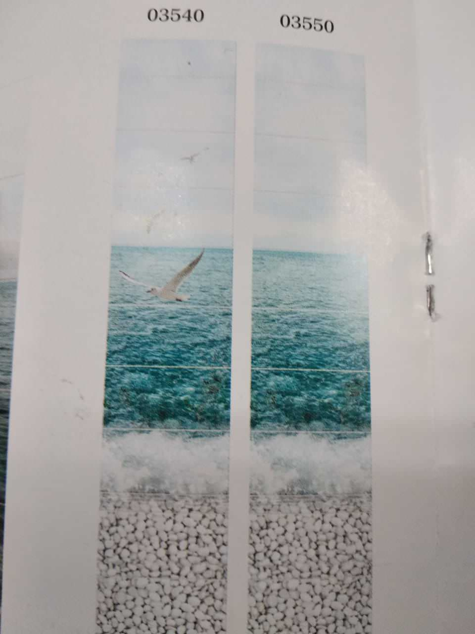 Unnamed Photo