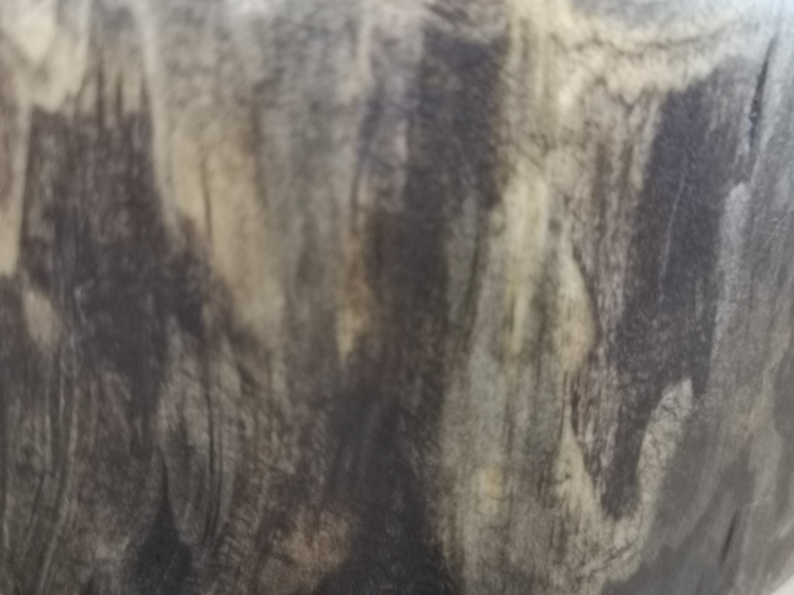 Unnamed Photo