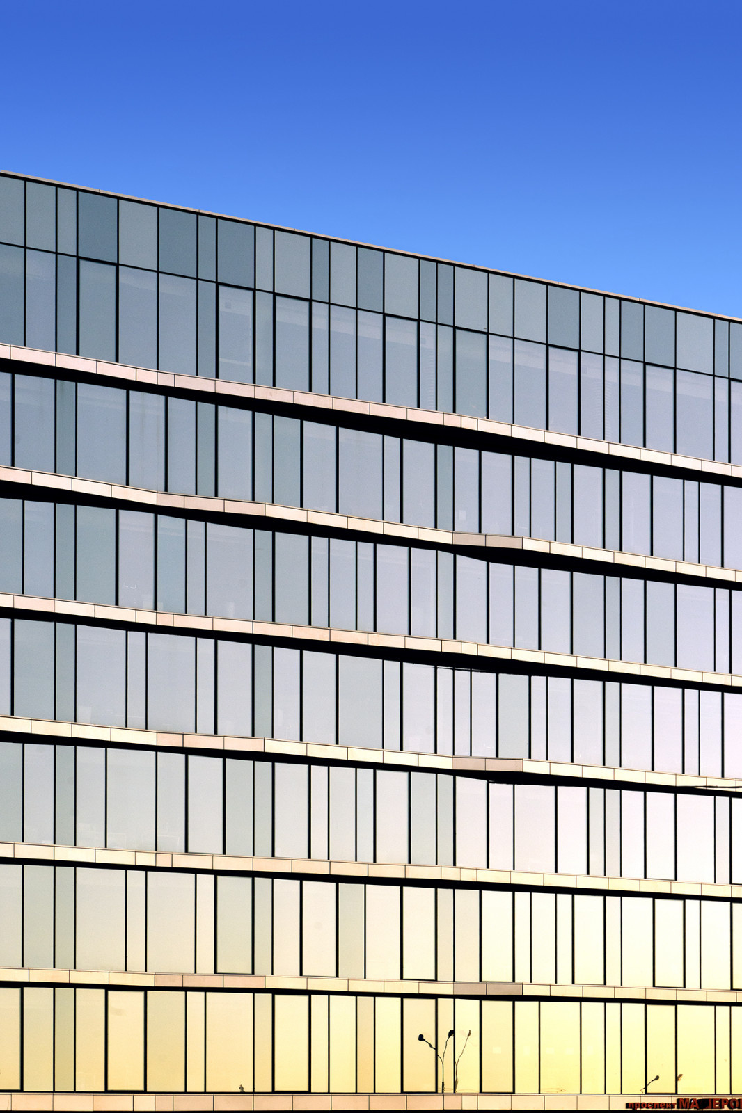 Development Bank
