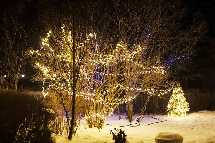 3829298E-4D64-450F-ABC0-2240F647956A.jpeg