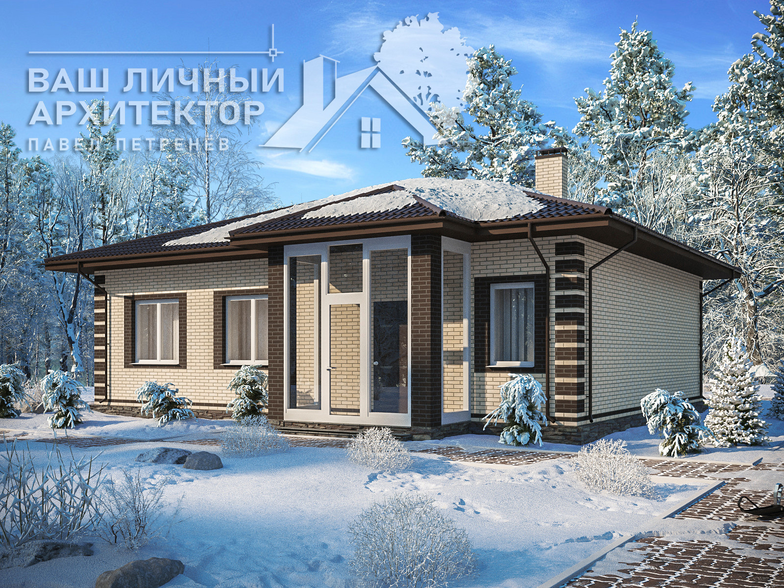 Проект №113