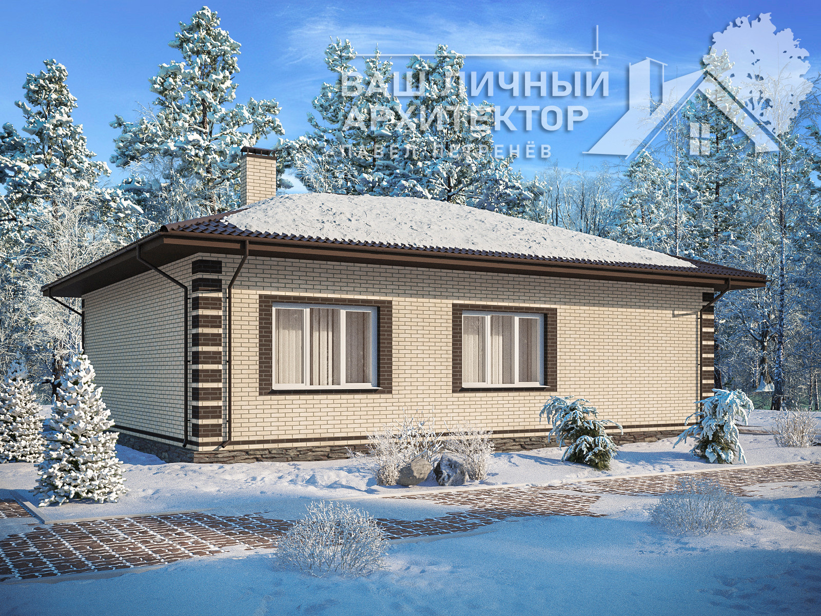 Проект №113