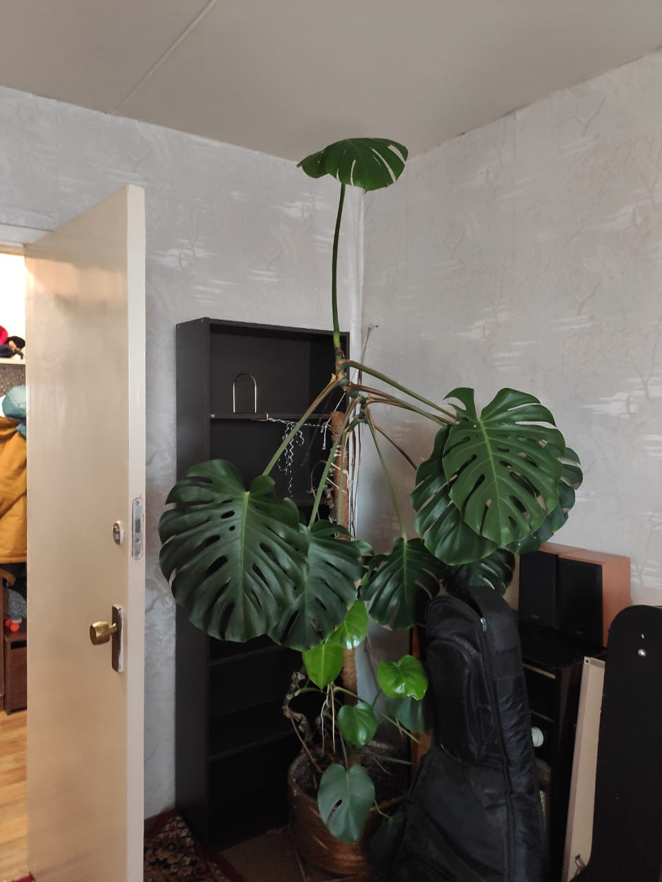 BE_Некрасова