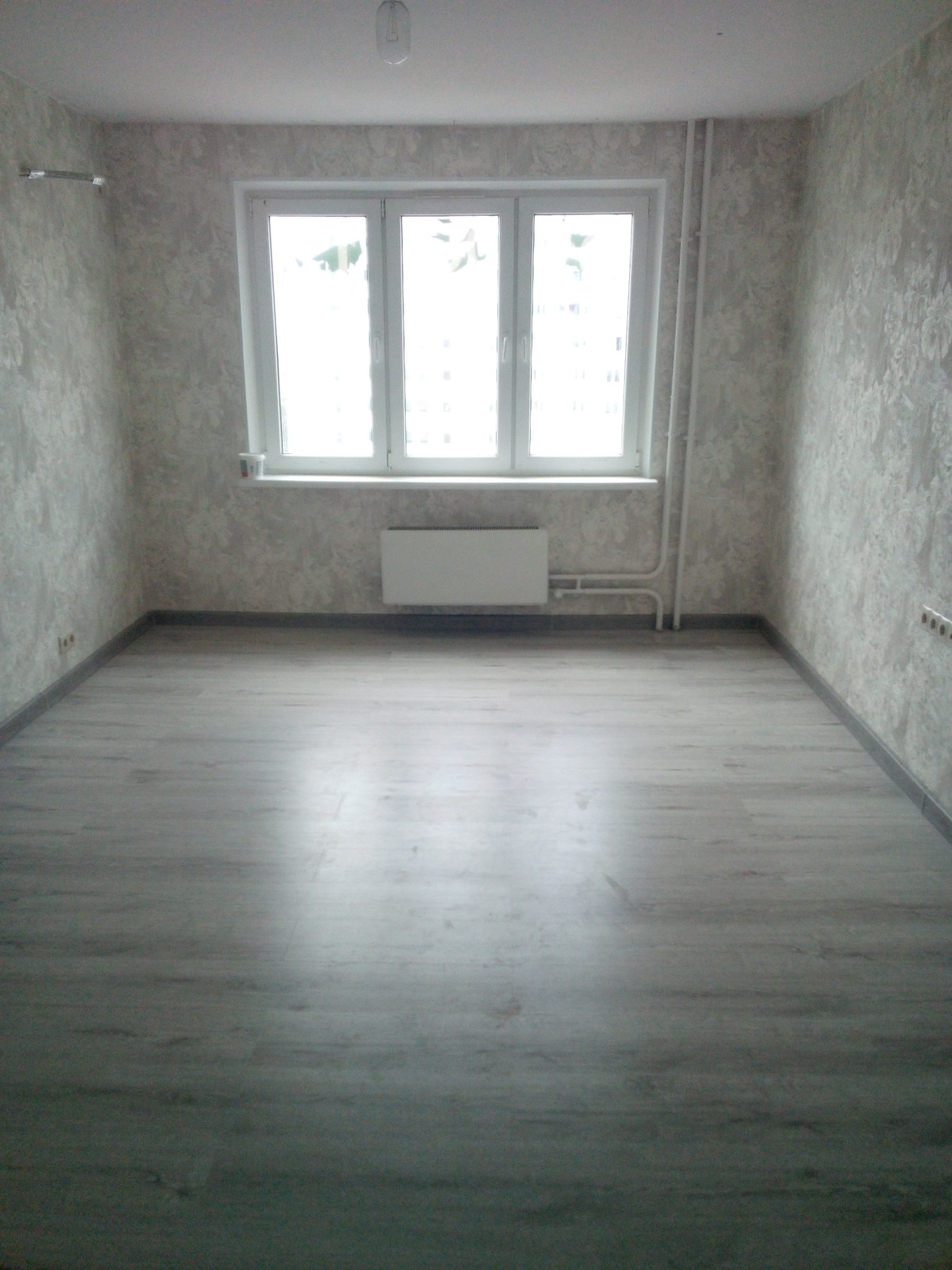 Алексей Новиков