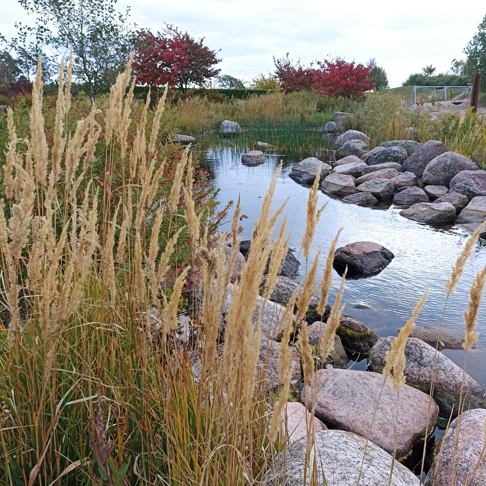 Unnamed Photo