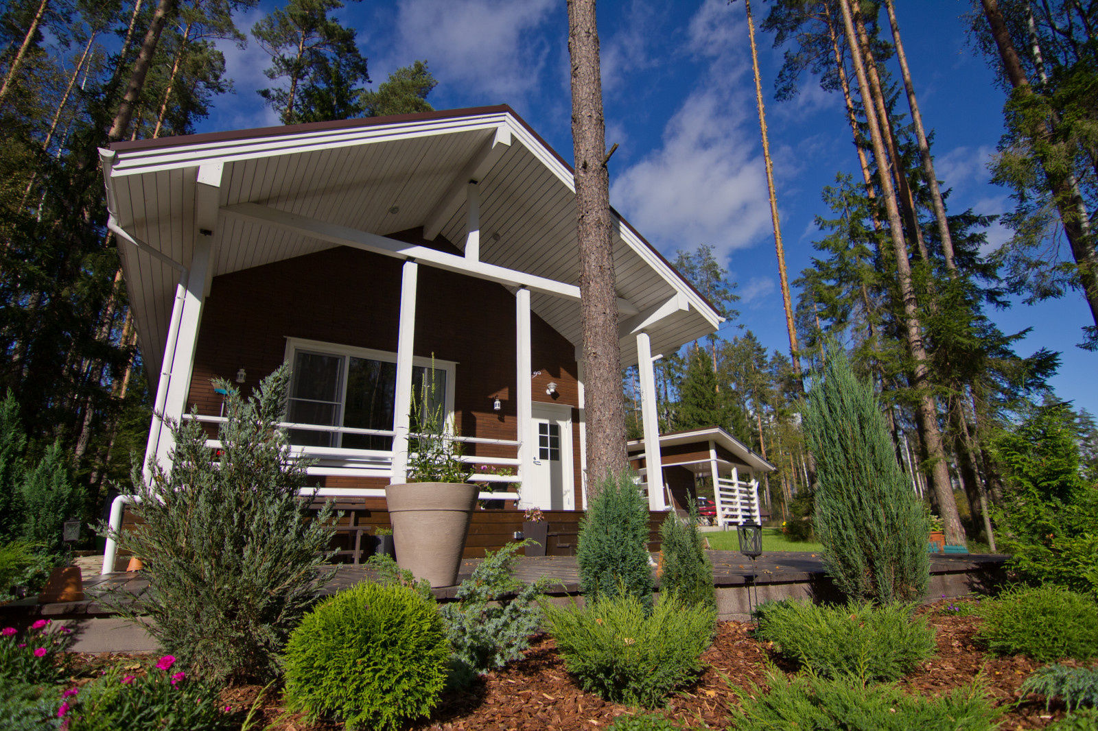Special house 290