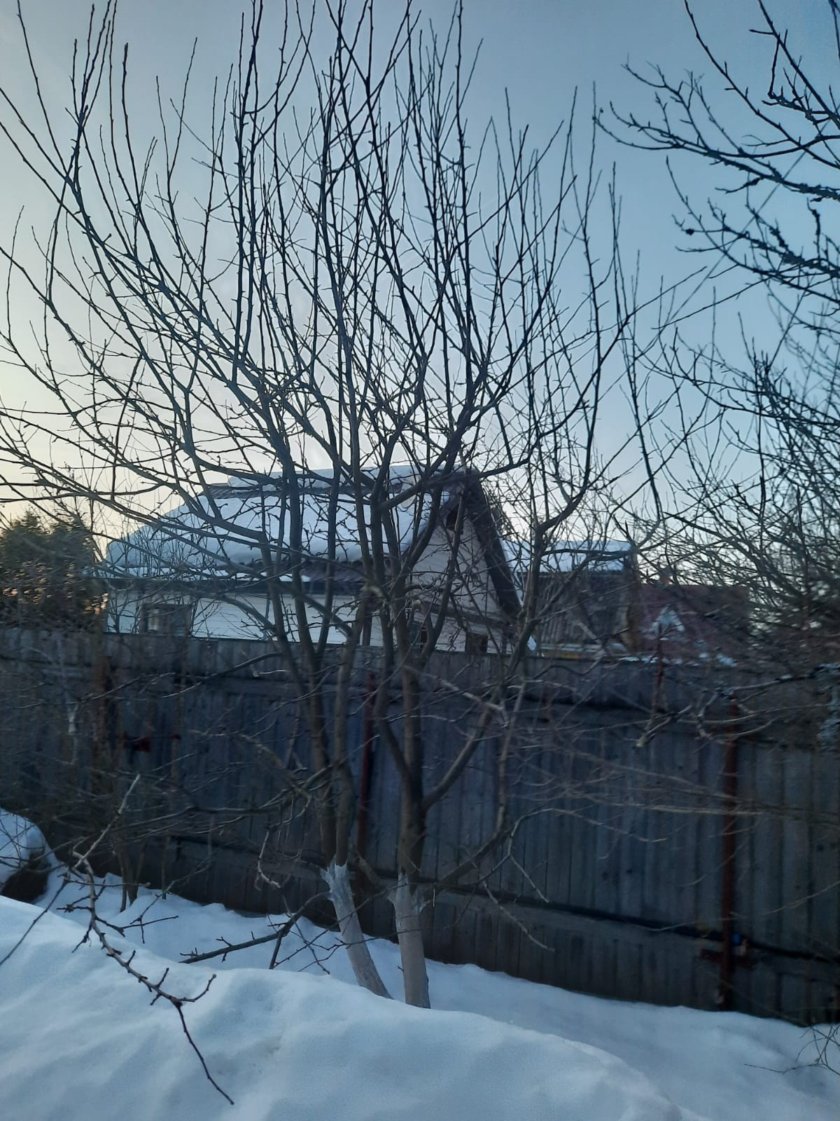 Unnamed Photo