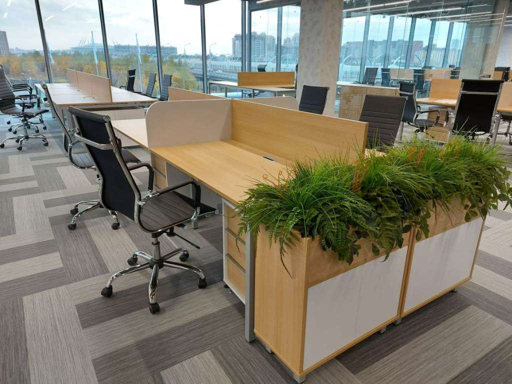 open space 5.jpg