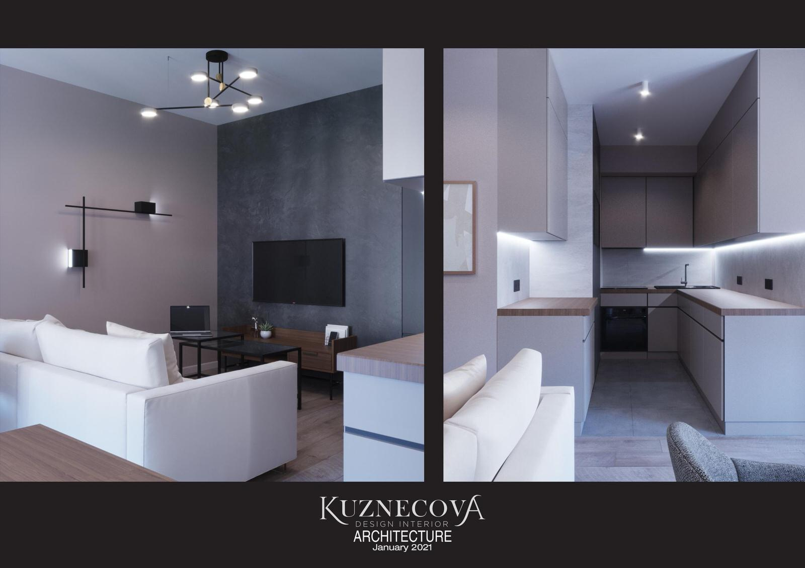 Гостиная-кухня 25,26 м²