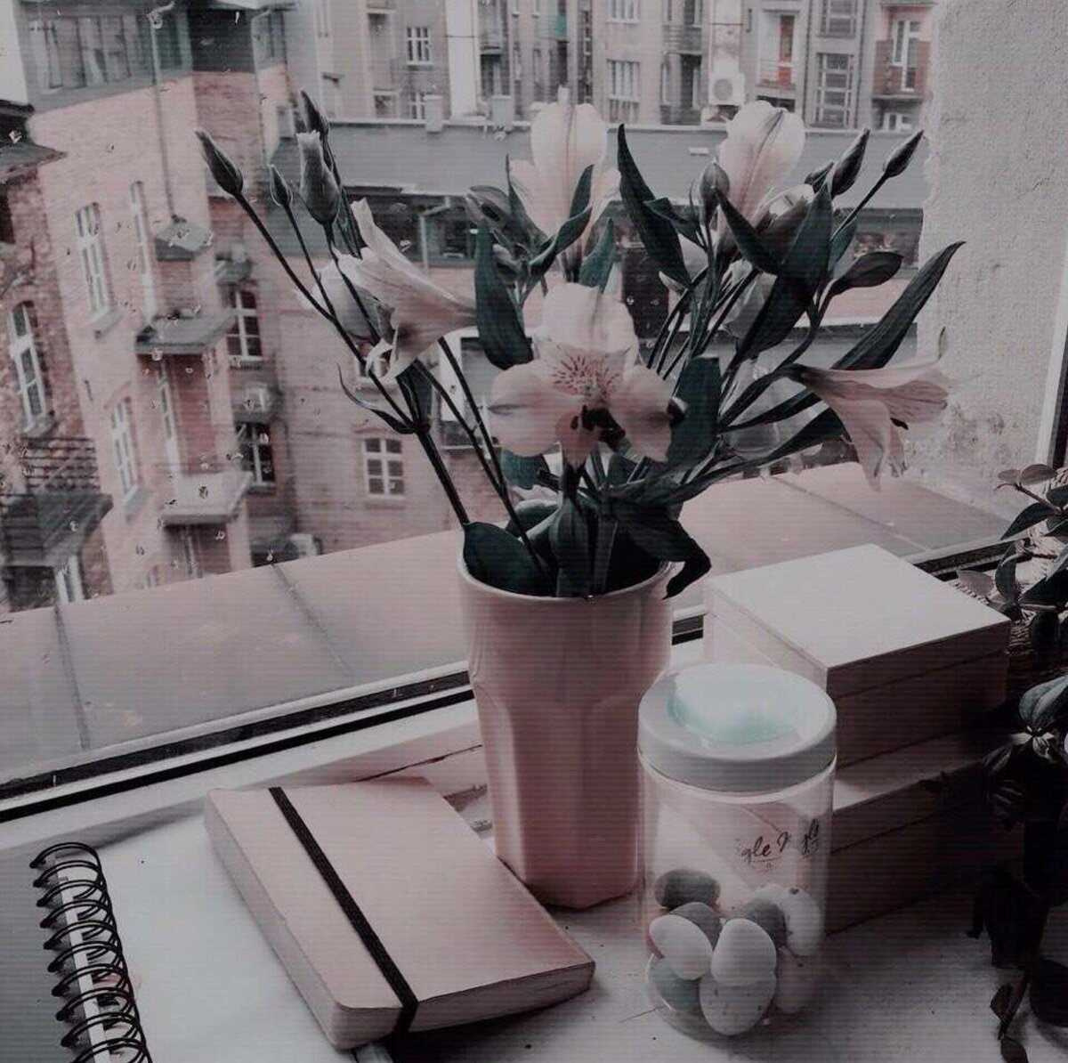 Фоновое изображение профиля Фатима Ахмедова