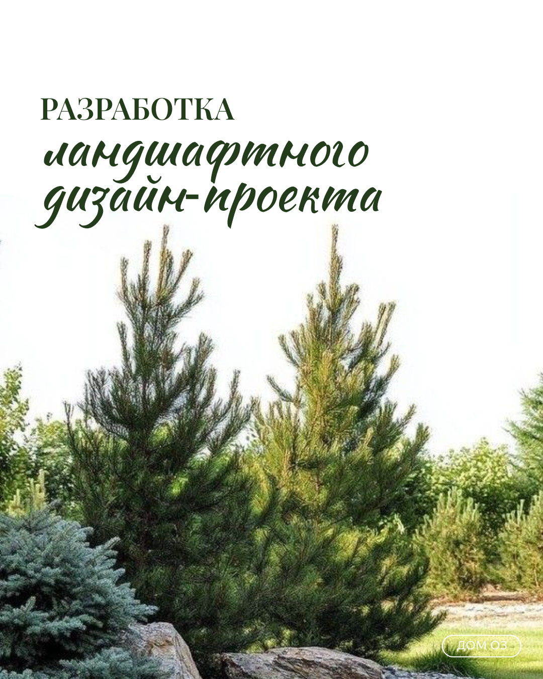 РАЗРАБОТКА ЛАНДШАФТНОГО ПРОЕКТА