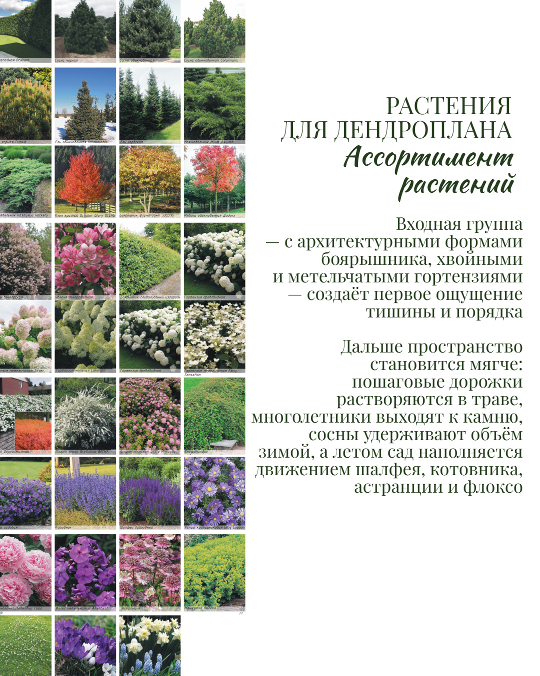 ПРОЕКТ "КП Спас-Каменка"