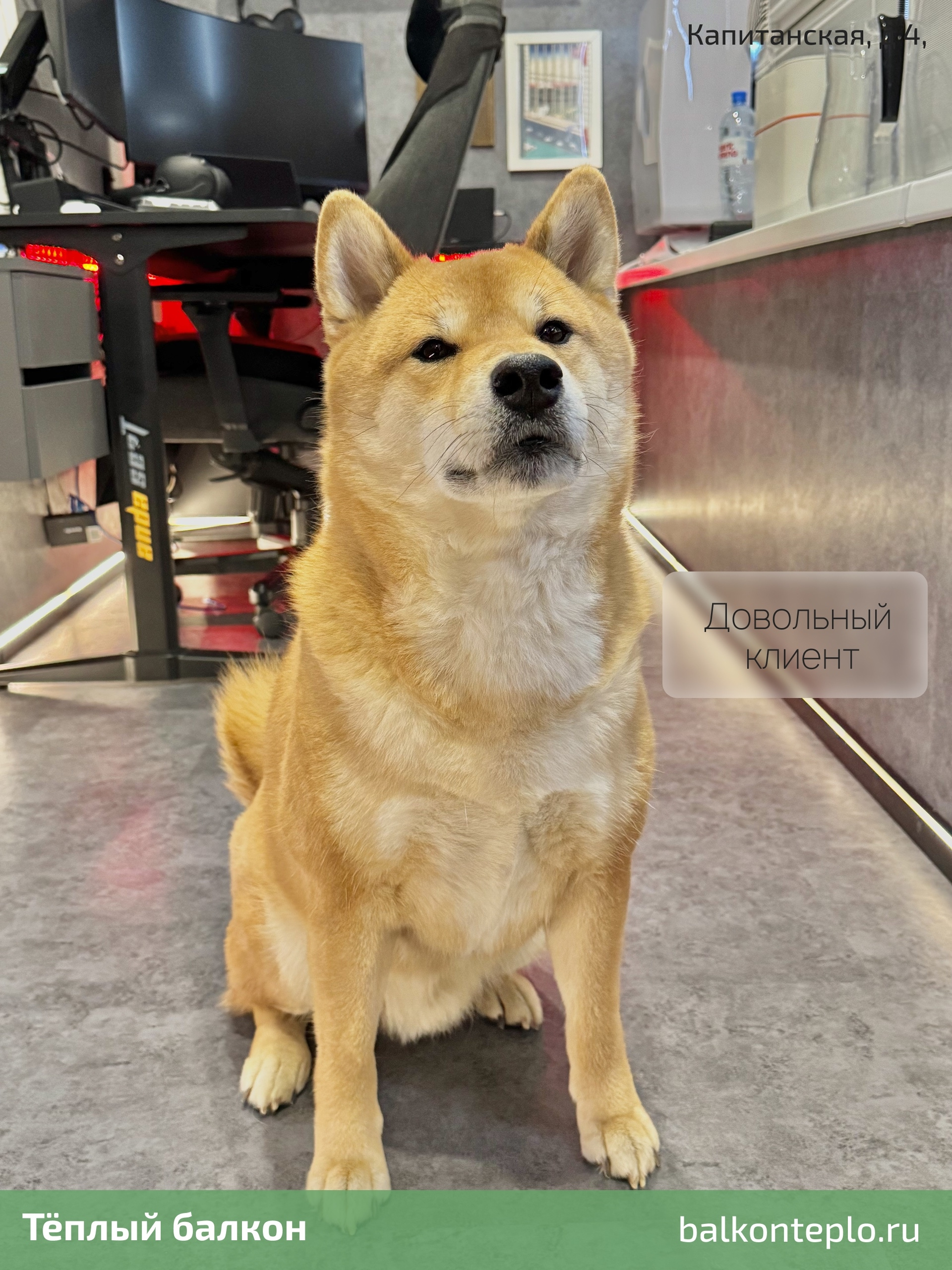 Как выжать максимум пользы из нескольких квадратных метров?