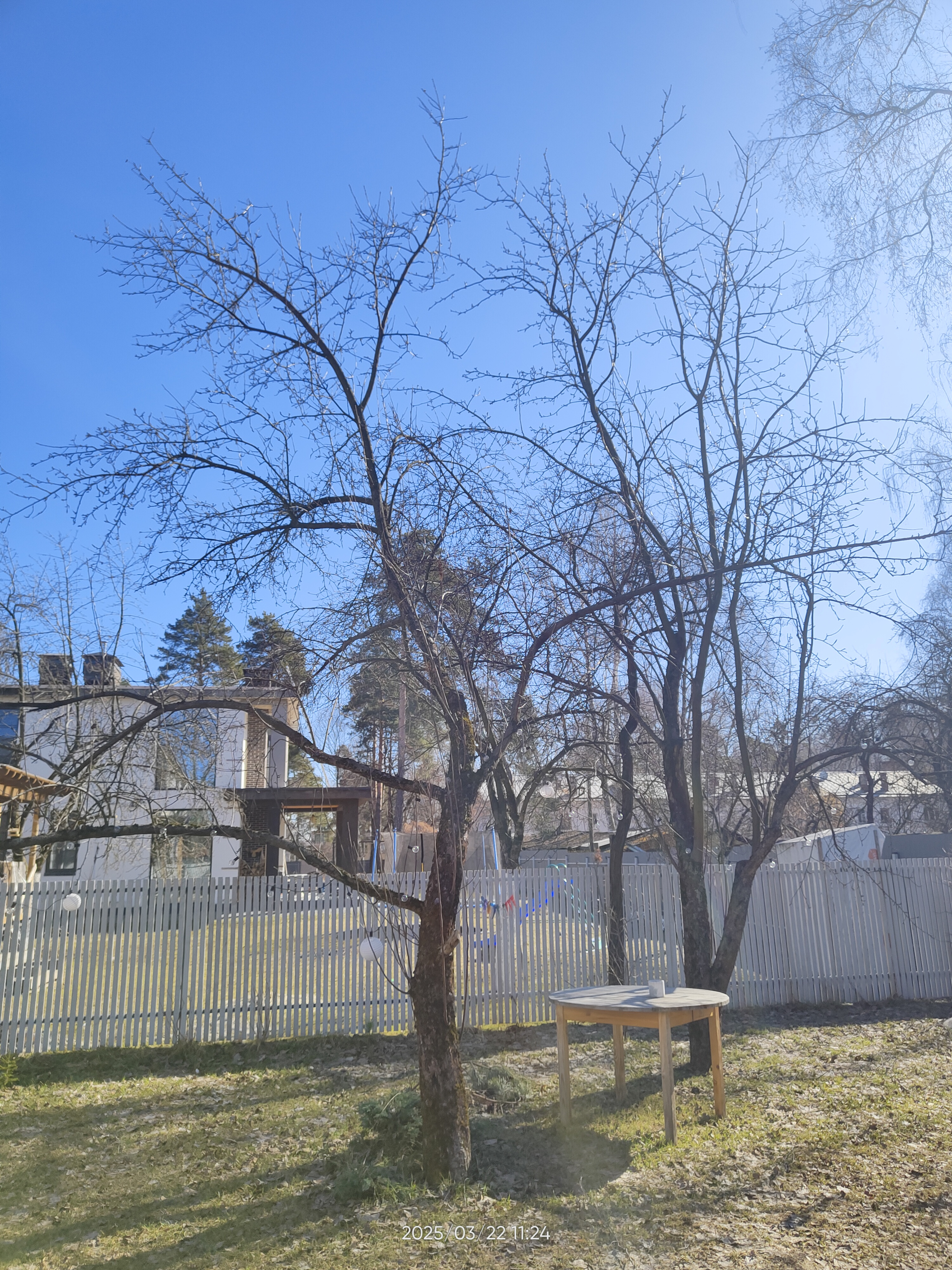 Проект Предгорный пейзаж - 2025