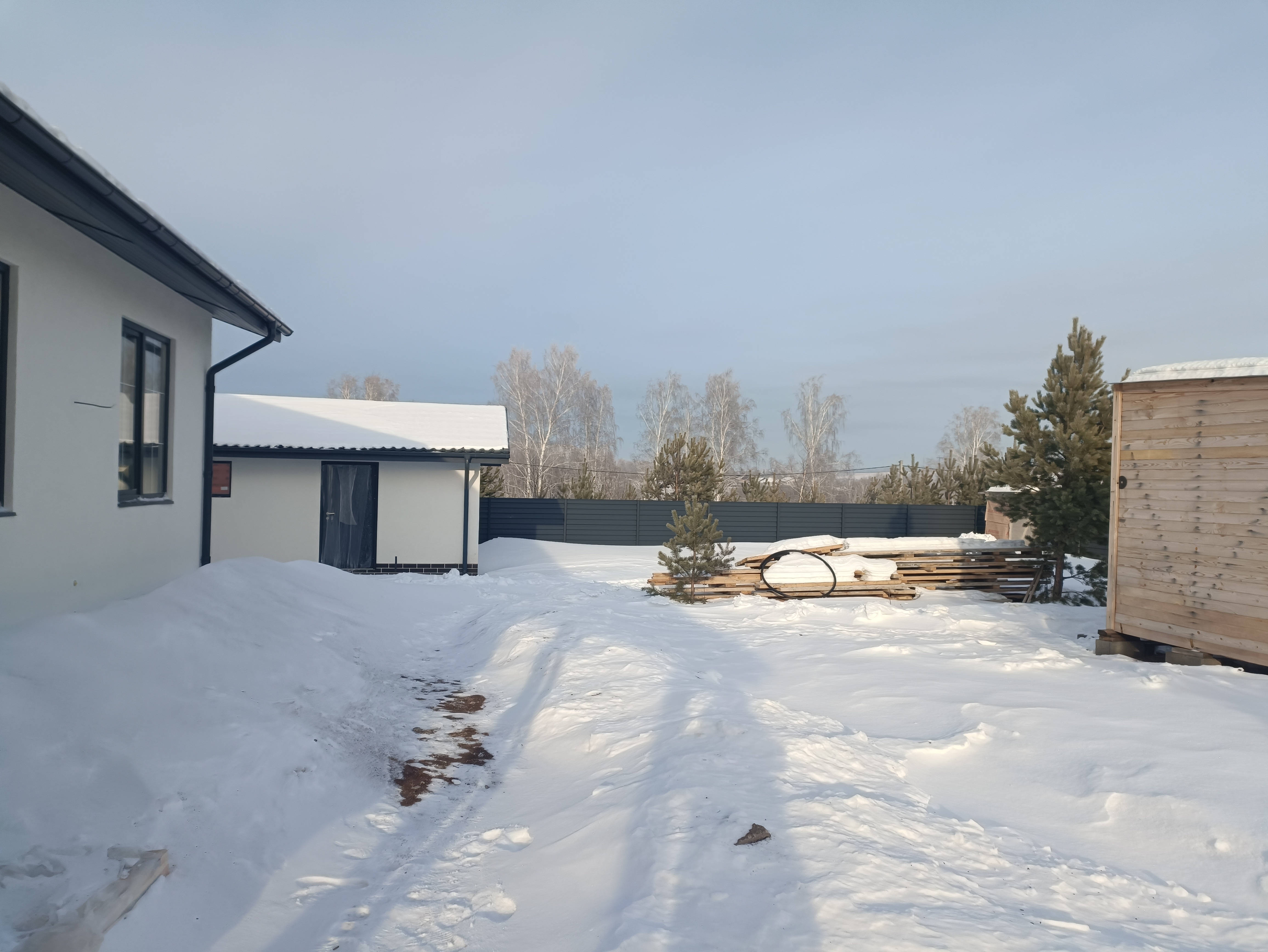 Проект Лесная быль - 2024