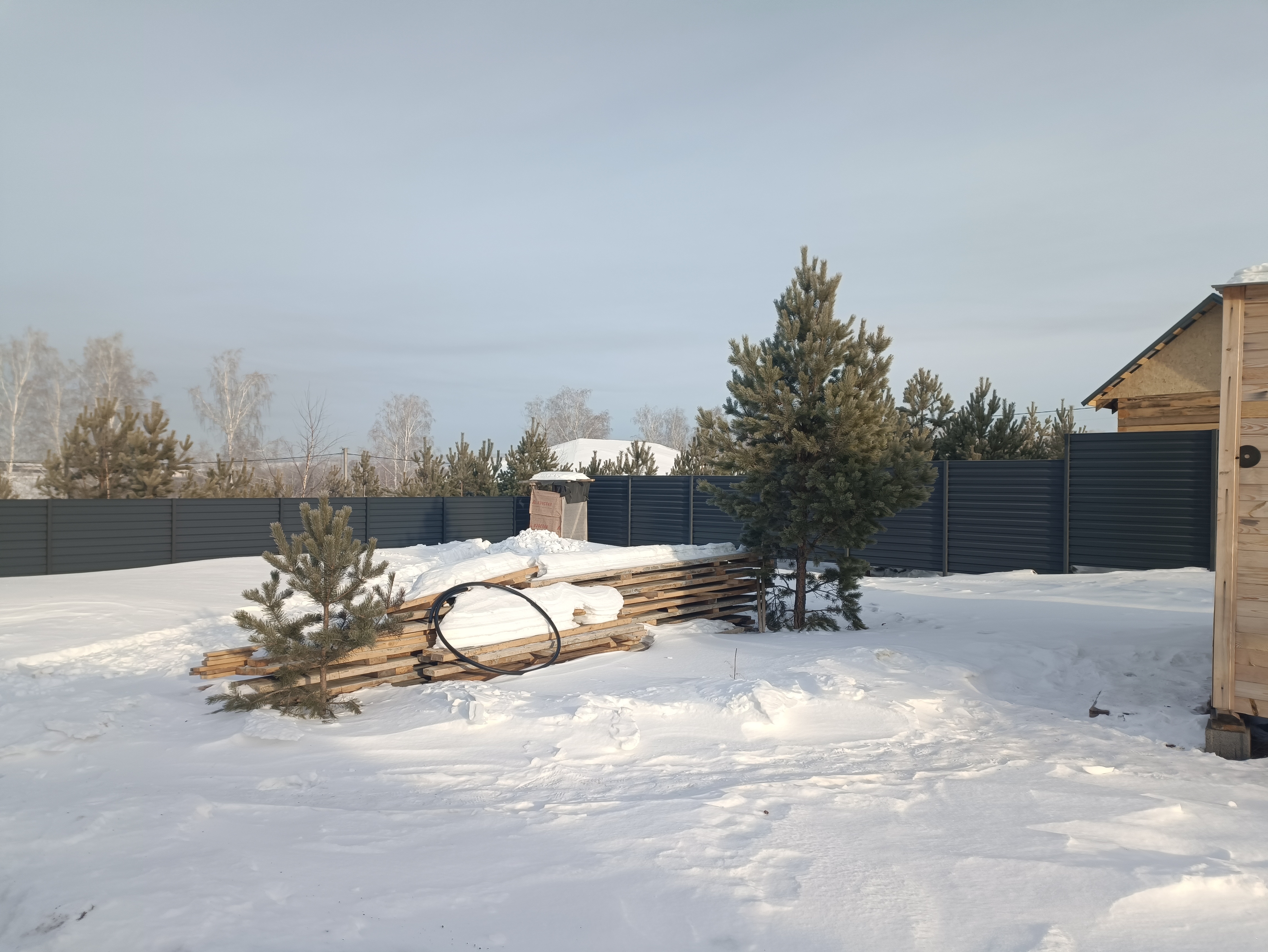 Проект Лесная быль - 2024