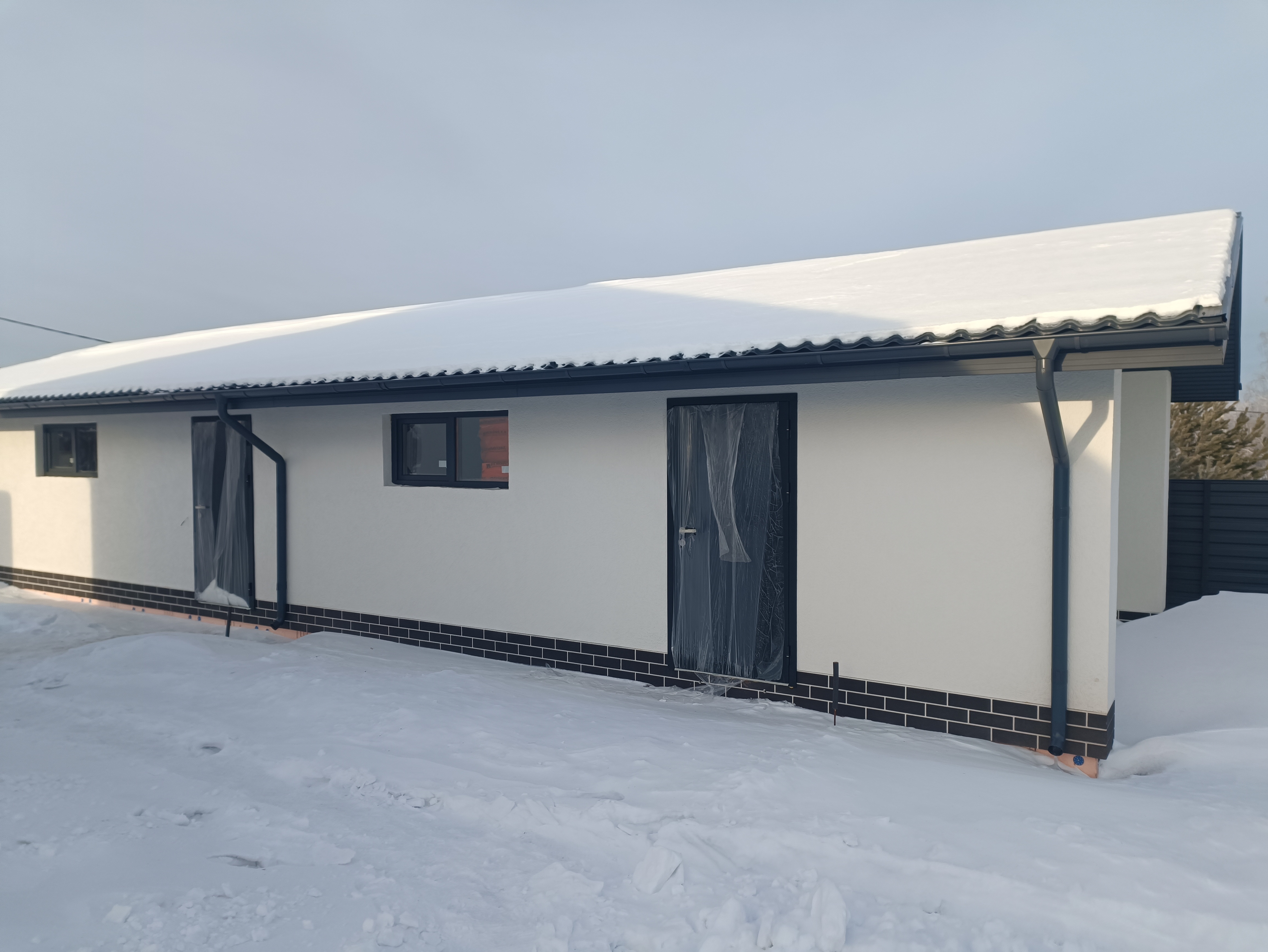 Проект Лесная быль - 2024