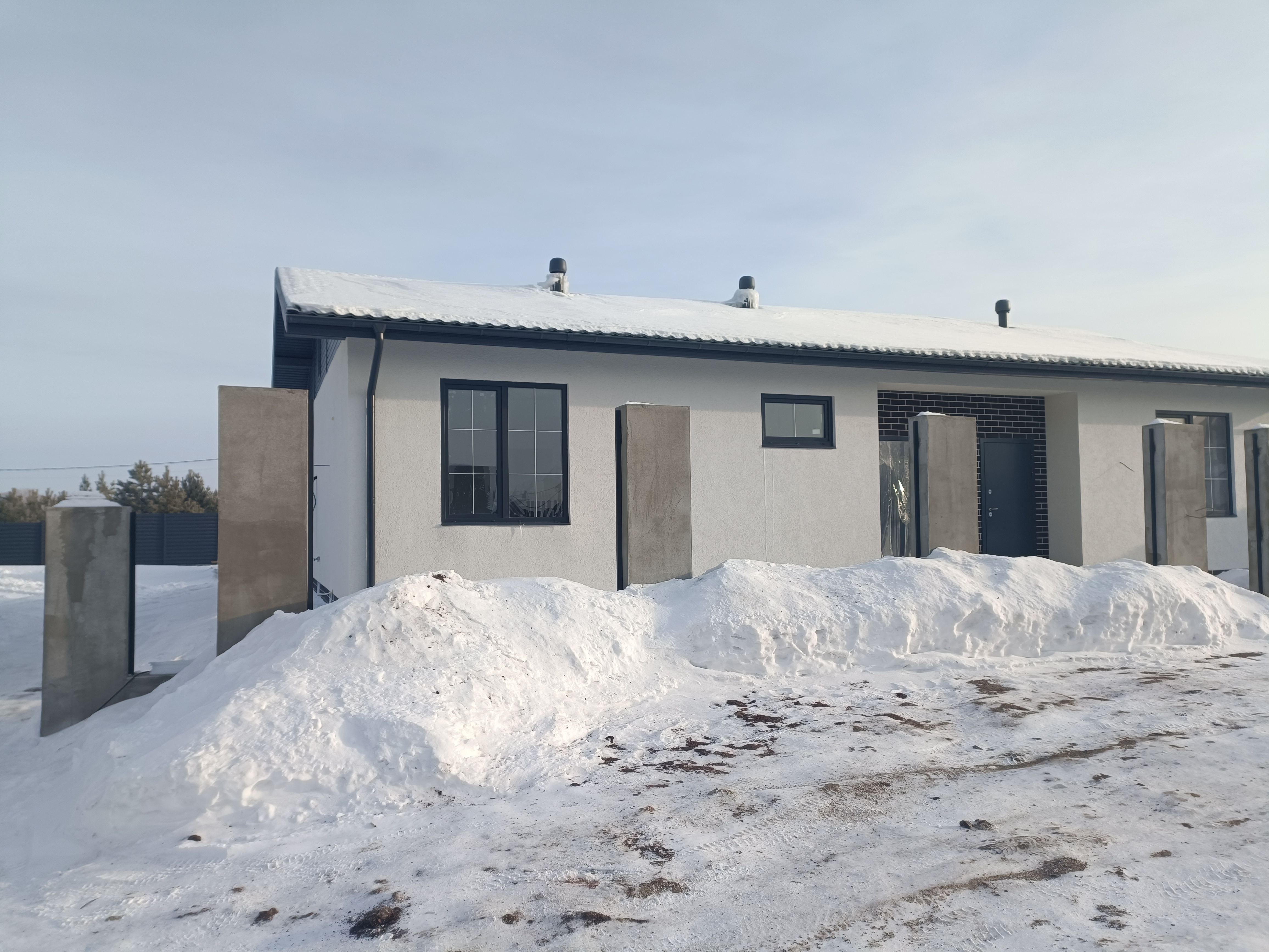 Проект Лесная быль - 2024