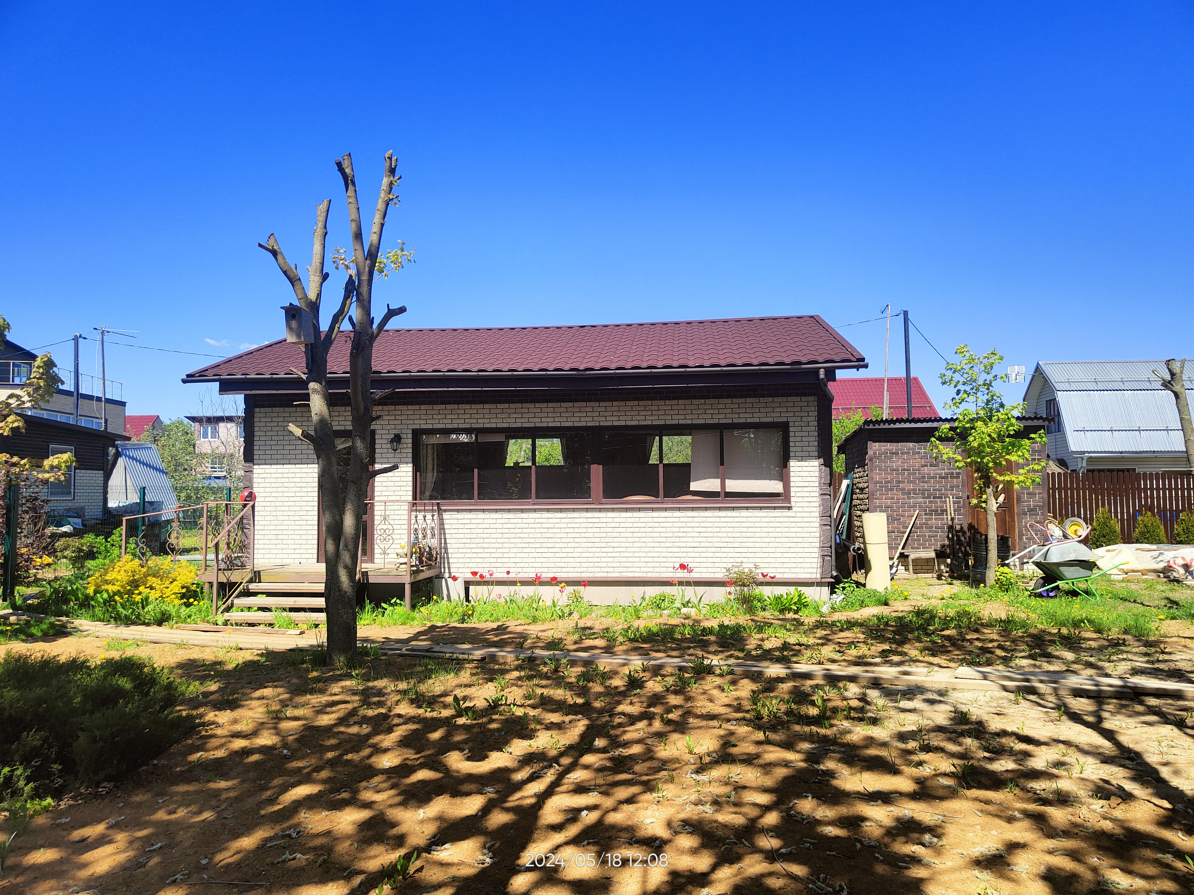 ПОД СЕНЬЮ КЛЁНОВ